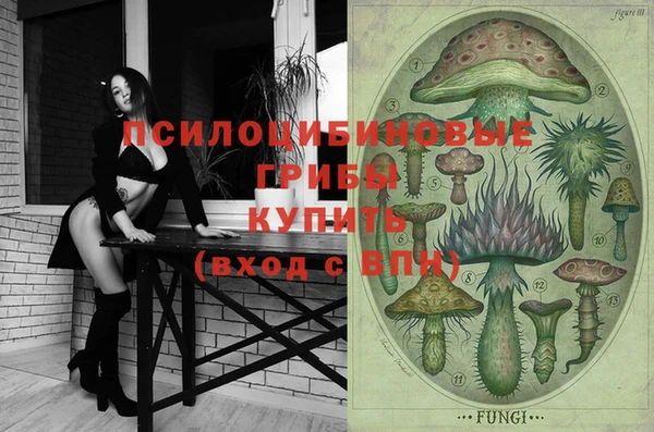 шишки Армянск