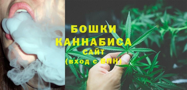 шишки Армянск