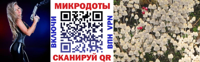 Галлюциногенные грибы мухоморы мега онион Тайшет